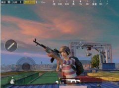 绝地求生和平精英新春特训版（未上市）