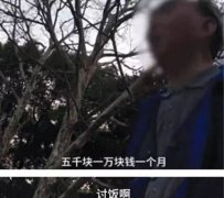 公园大爷招女婿 豪宅保时和平精英辅助捷是基础